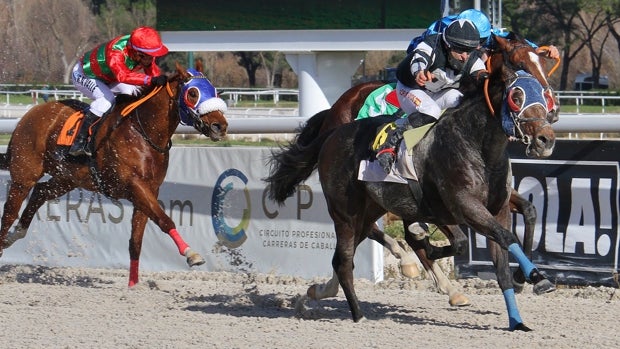 Penúltima jornada en el Hipódromo de Madrid