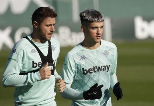 Los portuenses Joaquín y Geovanni, veterano y joven promesa del Real Betis.