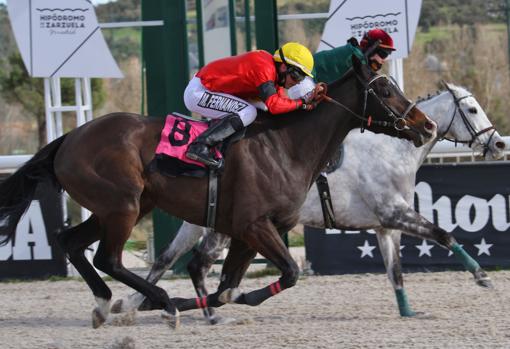 "NIAGARA" (CHAQUETILLA ROJA) - 4ª CARRERA "PREMIO ANDRÓMEDA"