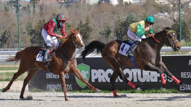 La Temporada de Invierno sigue triunfando en el Hipódromo de Madrid