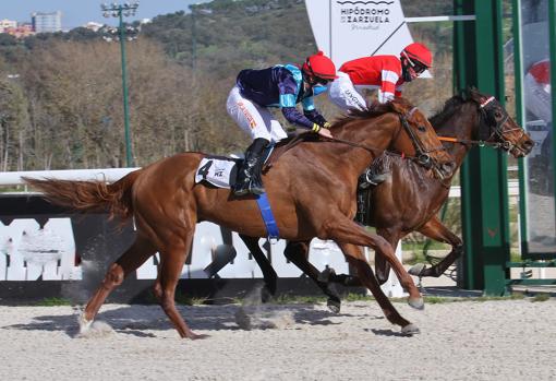 Tondero, vencedor del Premio Real Club Pineda de Sevilla