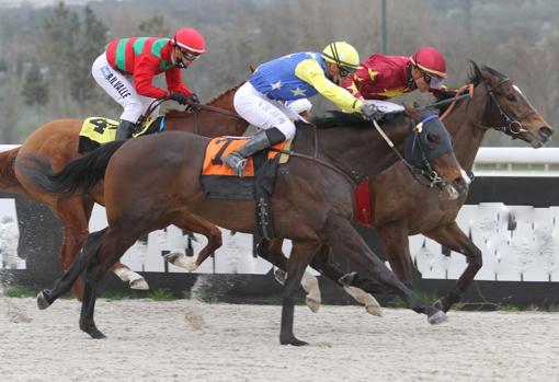 Surprize se adjudicó el Premio Carreras de Caballos de Sanlucar