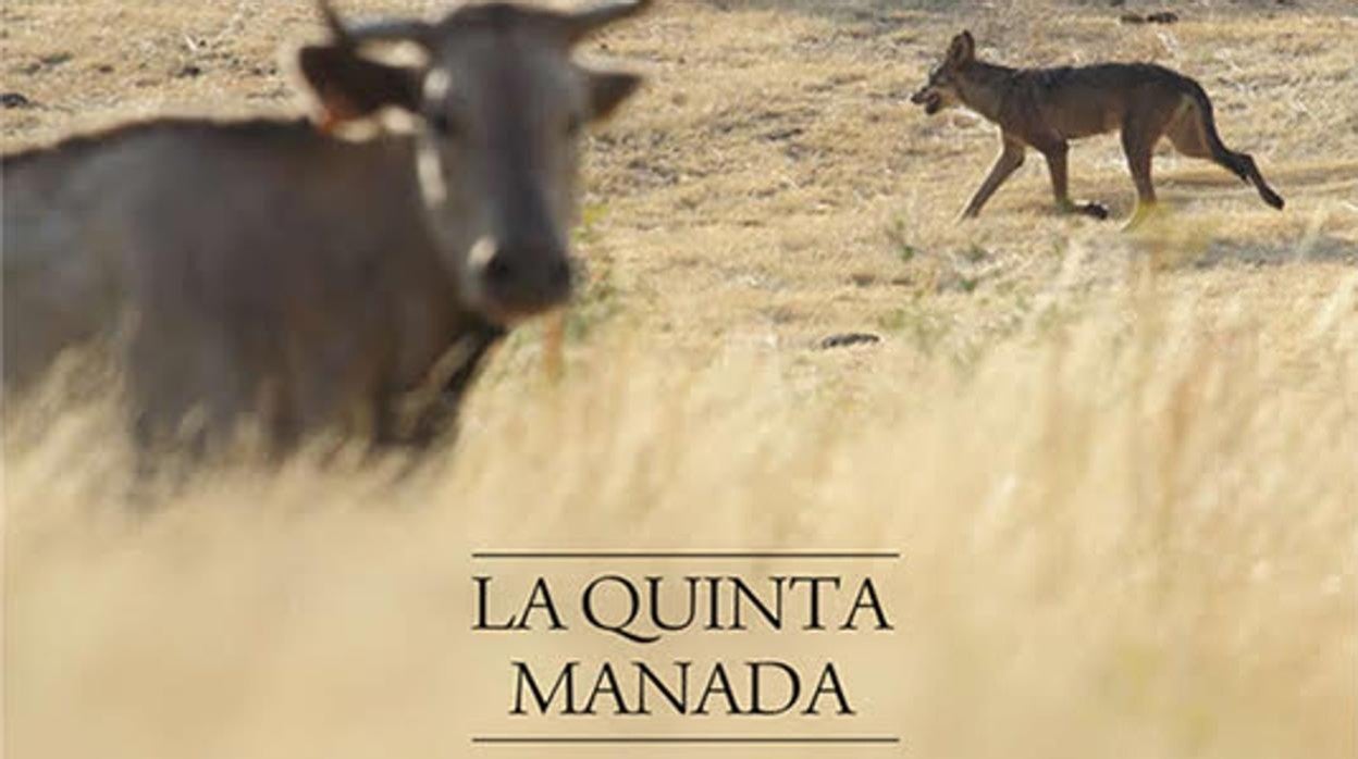 &#039;La Quinta Manada&#039;, una visión realista sobre los lobos