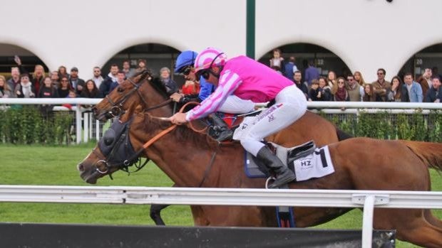 El Hipódromo de Madrid vuelve a abrir sus puertas a una nueva temporada en su 80 aniversario