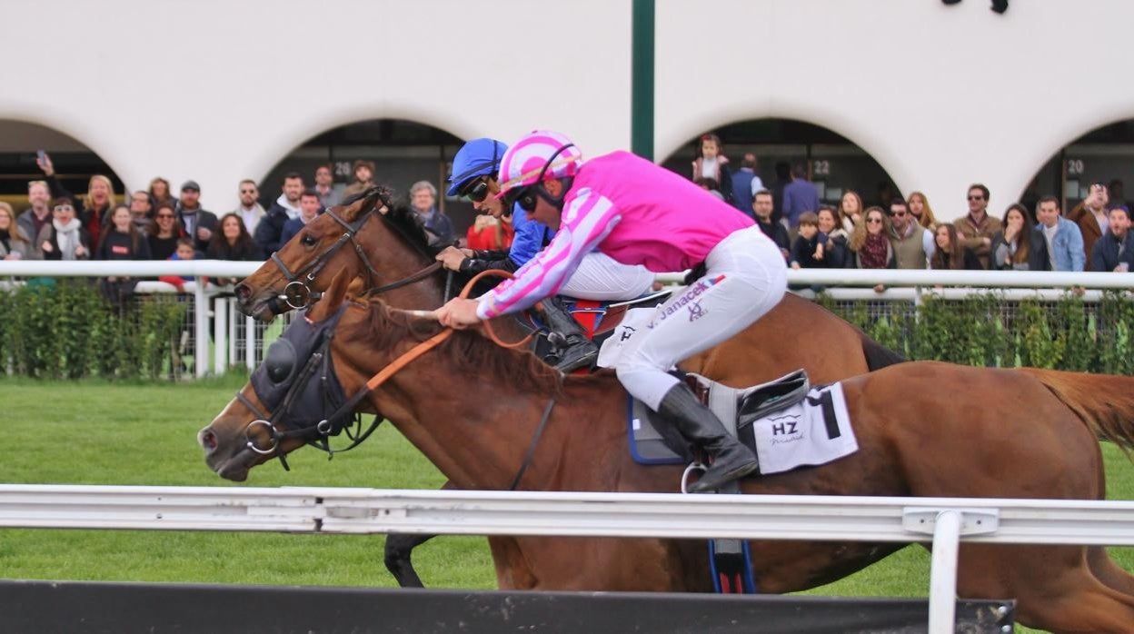 Carreras de caballos en el Hipódromo de la Zarzuela