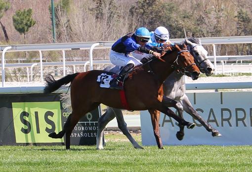 Sincelejo fue el más rápìdo en el Premio Jockey Club Español