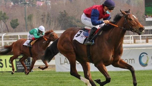 Tercera jornada de la temporada en el Hipódromo de Madrid