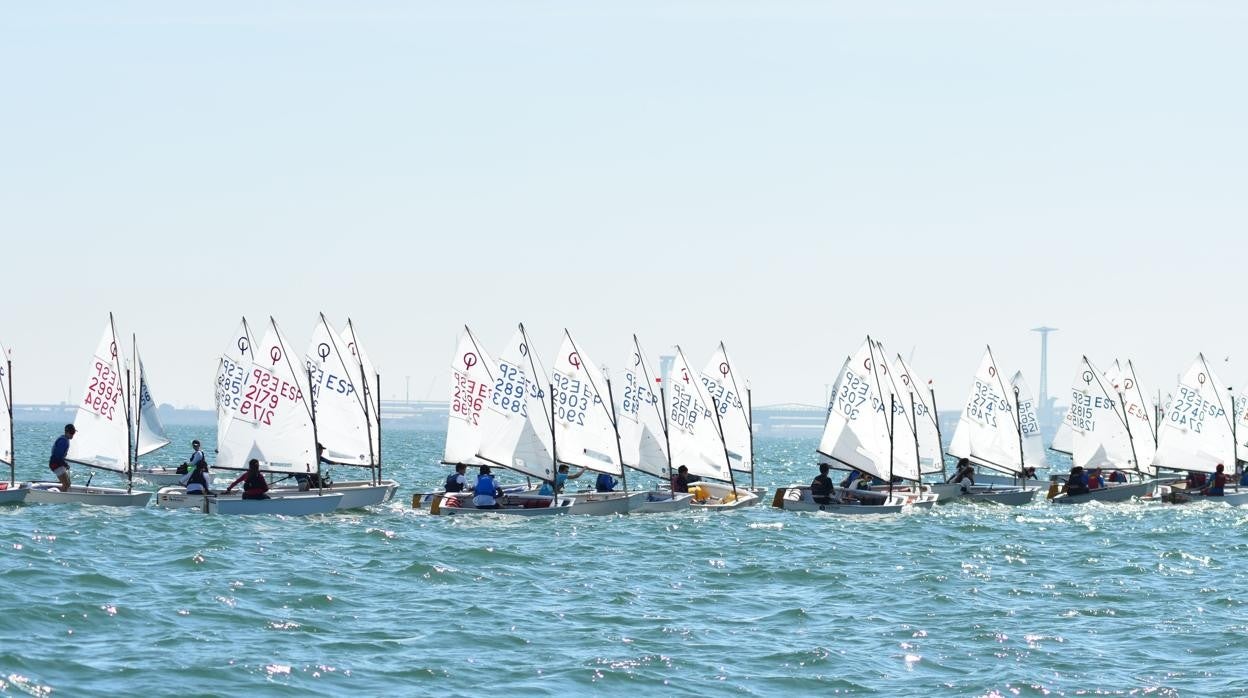 Regatistas de la clase Optimist en aguas de la Bahía de Cádiz.