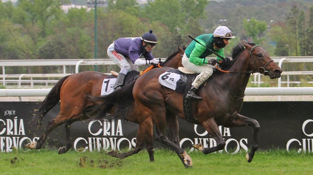 Rodaballo, ganador del Premio Andrés Covarrubias