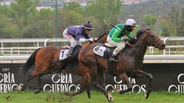 'Rodaballo' consigue una gran victoria sobre 'Great Prospector' en el Premio Andres Covarrubias