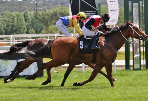 «MARACAY» - 3ª CARRERA «GRAN PREMIO VALDERAS - POULE DE POTRANCAS»