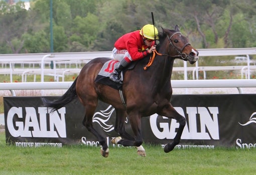 «NIAGARA» - 4ª CARRERA «PREMIO REVISTA CORTA CABEZA»