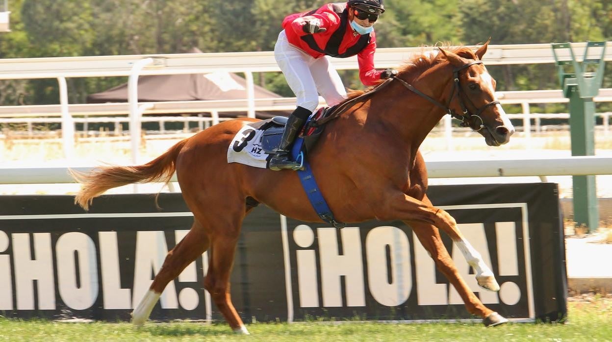 Abu, ganador del Premio Velayos 2020