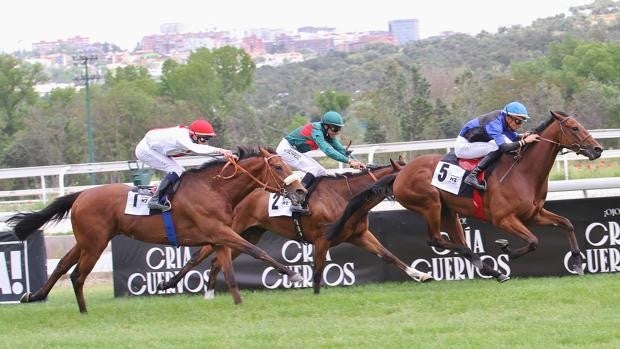 'Sincelejo' vence de forma convincente en el Velayos y confirma su candidatura para el Derby