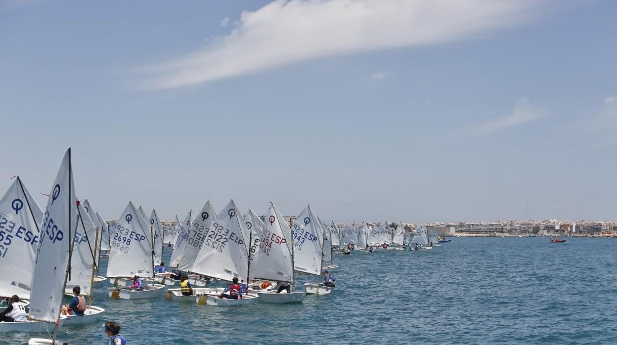 Valencia proclama a sus campeones autonómicos de Optimist B en Torrevieja