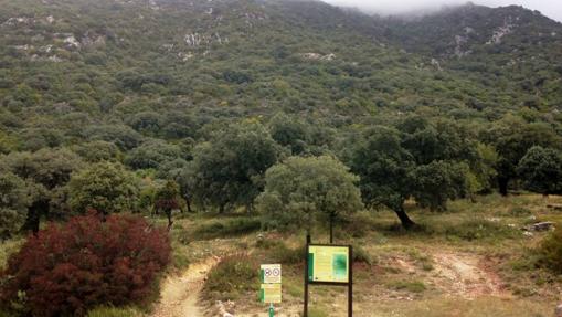 Ruta de acceso al Torreón de Grazalema.