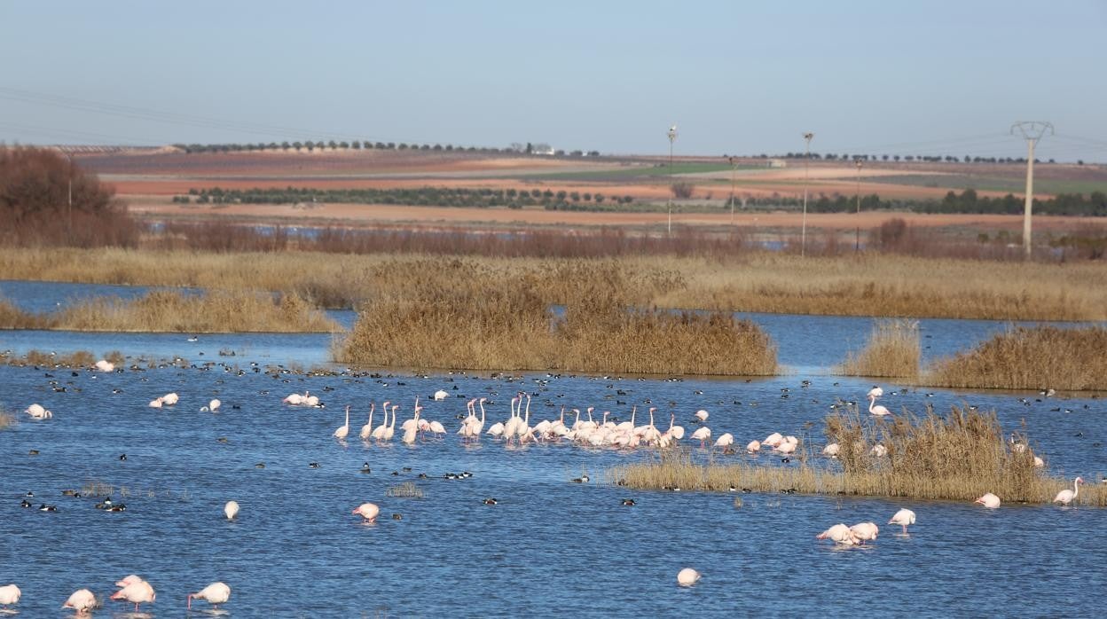 Los humedales en España