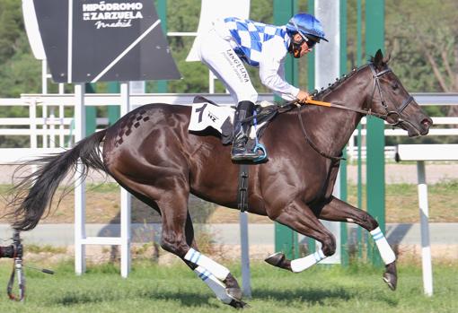 Black Voice, en la primera carrera, el Premio Equiano