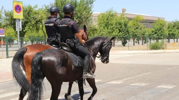 Eurocopa en Sevilla: Cerca de un millar de agentes se despliega en la ciudad para blindarla