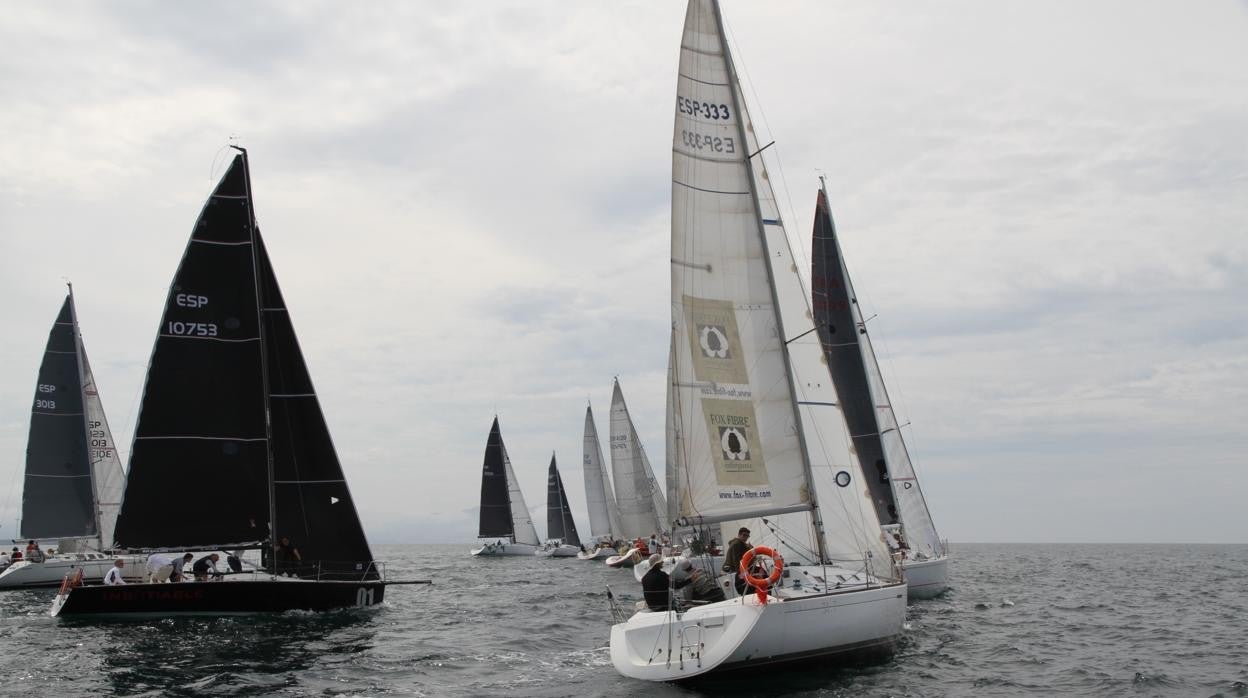 La Ballena de Oro se decide en San Sebastián