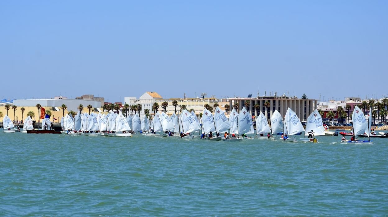 Regatistas de la clase Optimis en la bahía de Cádiz.