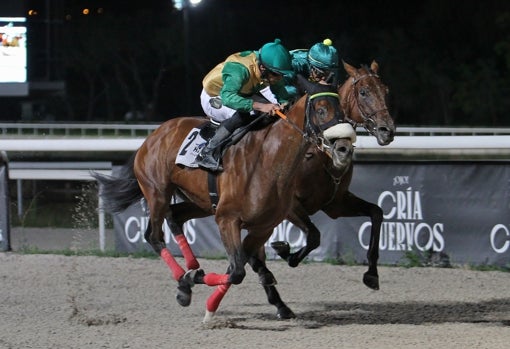 «TRESEFES» - 2ª CARRERA «PREMIO CUMBRALES»