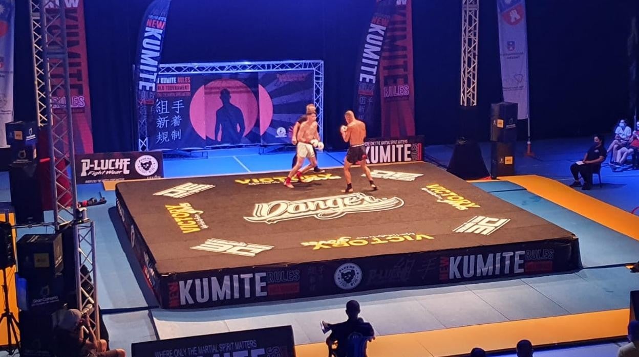 Combate sobre la plataforma de New Kumite Rules