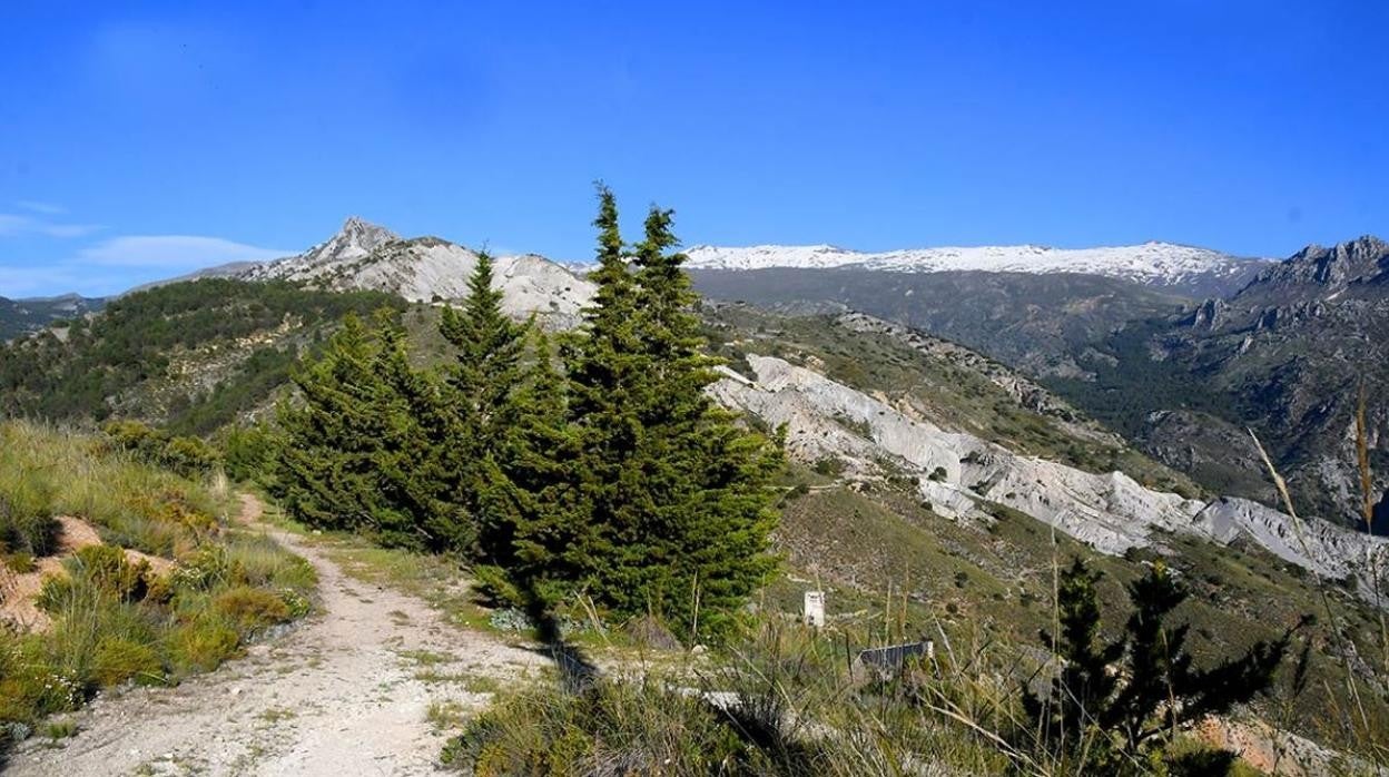 Paisaje de Sierra Nevada