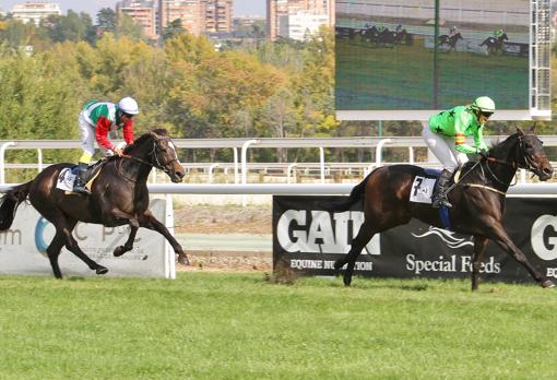 Einar, ganador de la sexta carrera, el Premio Aegri-Copa de España de Amateurs