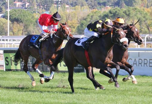 "STREAKER" - 4ª CARRERA "PREMIO HERMANOS VIÑALS"