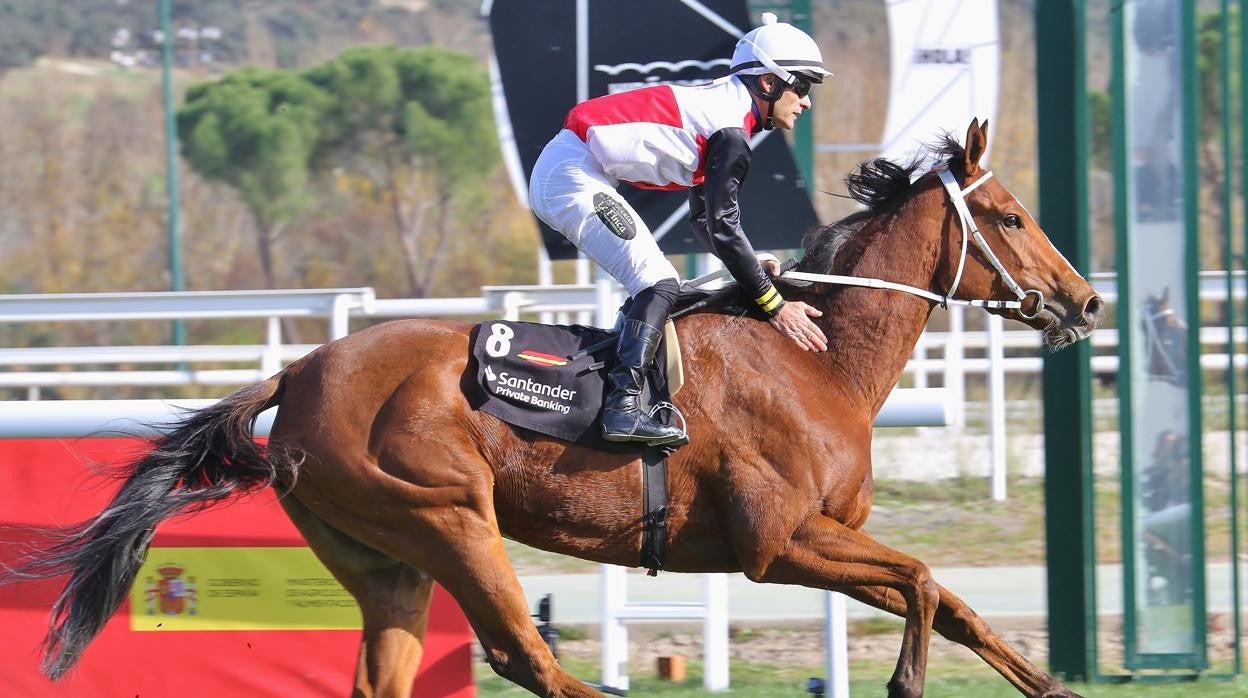 'Maracay' - 5ª carrera Gran Premio Nacional