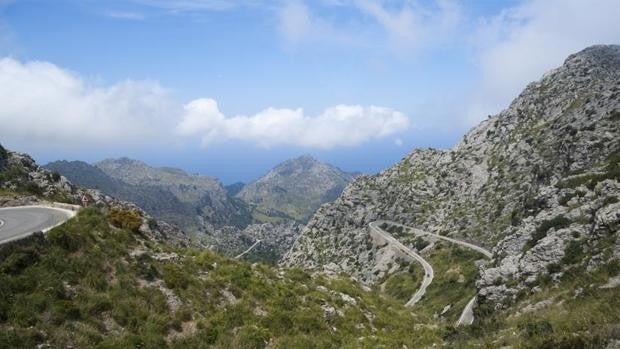 Sierra de Tramontana, la cuna del boc balear