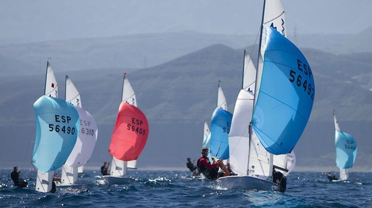 Amplia participación en el Trofeo Presidenta, del Real Club Náutico de Gran Canaria