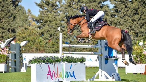 272 caballos jóvenes disputan este miércoles las finales en Montenmedio