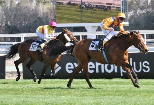 «MAURO» - 3ª CARRERA «PREMIO LUIS DE GOYENECHE»