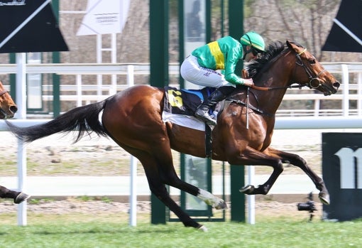 «TRONÍO» - 4ª CARRERA «PREMIO FERNÁN NÚÑEZ»