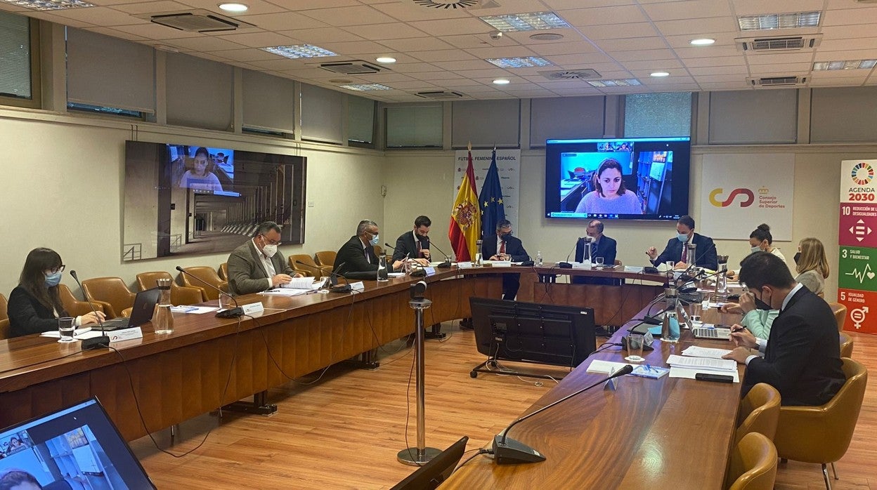 Reunión de la Comisión directiva del Consejo Superior de Deportes