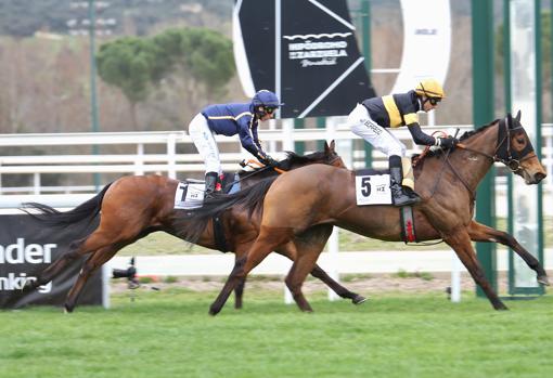 Portalma venicó en la primera carrera, el premio Fernando Savater