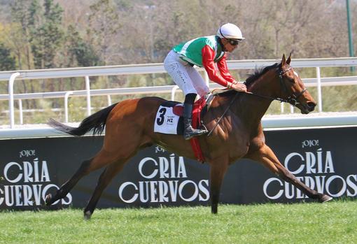 Whars'Up, último ganador del Premio Torre Arias