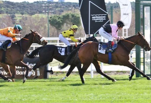 Alborán, ganador de la segunda carrera, el Premio Martín Domínguez