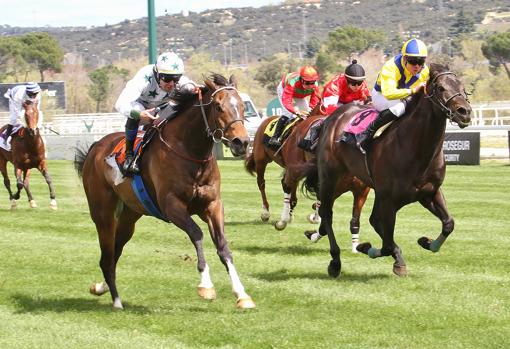 El Bosnia, ganador de la cuarta carrera, el Premio Familia Barderas