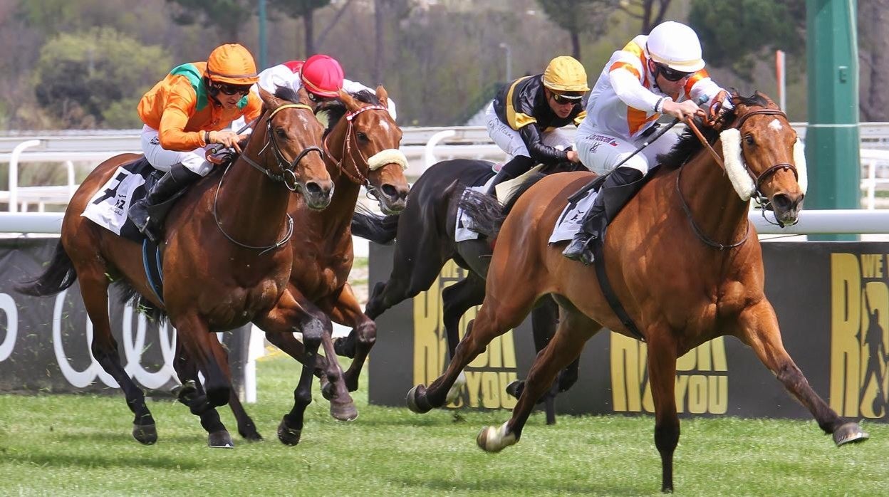 Qatar River ganó la quinta carrera, el Premio Indian Prince