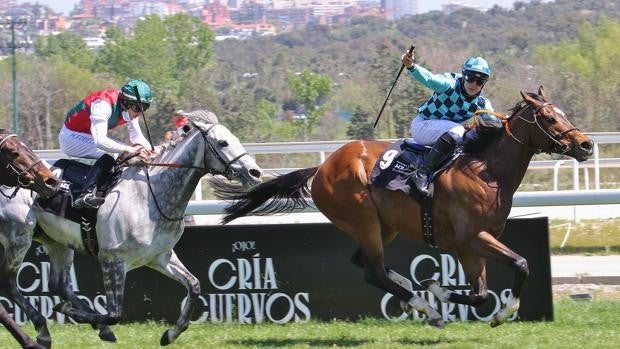 El Gran Premio Duque de Alburquerque ilumina el Planazo del domingo