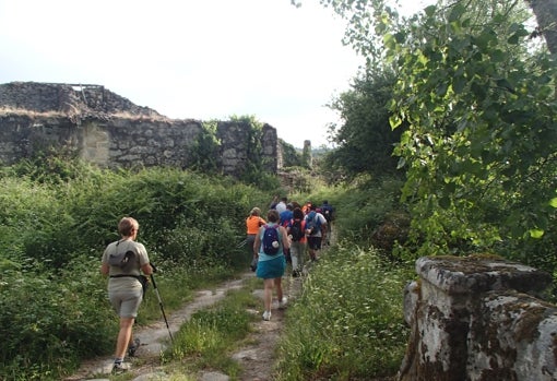 Ruta del Camino de Santiago