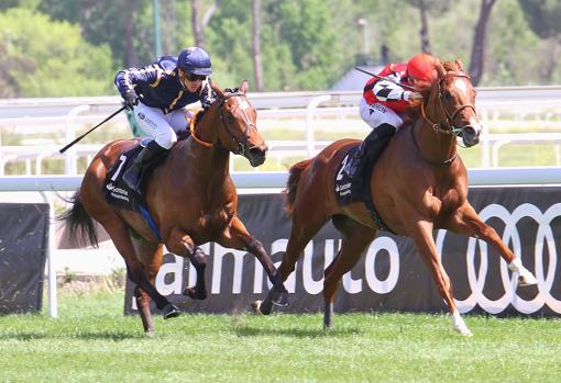 Catapum, ganador de la tercera carrera, el Gran Premio Cimera (Poule de Potros)