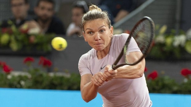 Halep y Murray, dos campeones que recuperan el hambre