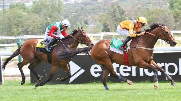 'Great Prospector' vuelve a ser el más rápido en el esprint del Premio San Isidro