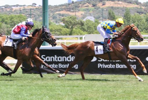 Paderno, vencedor de la sexta carrera, el Premio Príncipe Duero