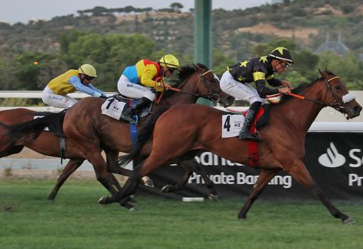 Aunt Agatha ganó la sexta carrera, el Premio Baratíssima