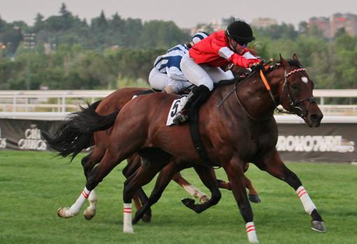 Correcaminos venció la sexta carrera, el Premio Takala